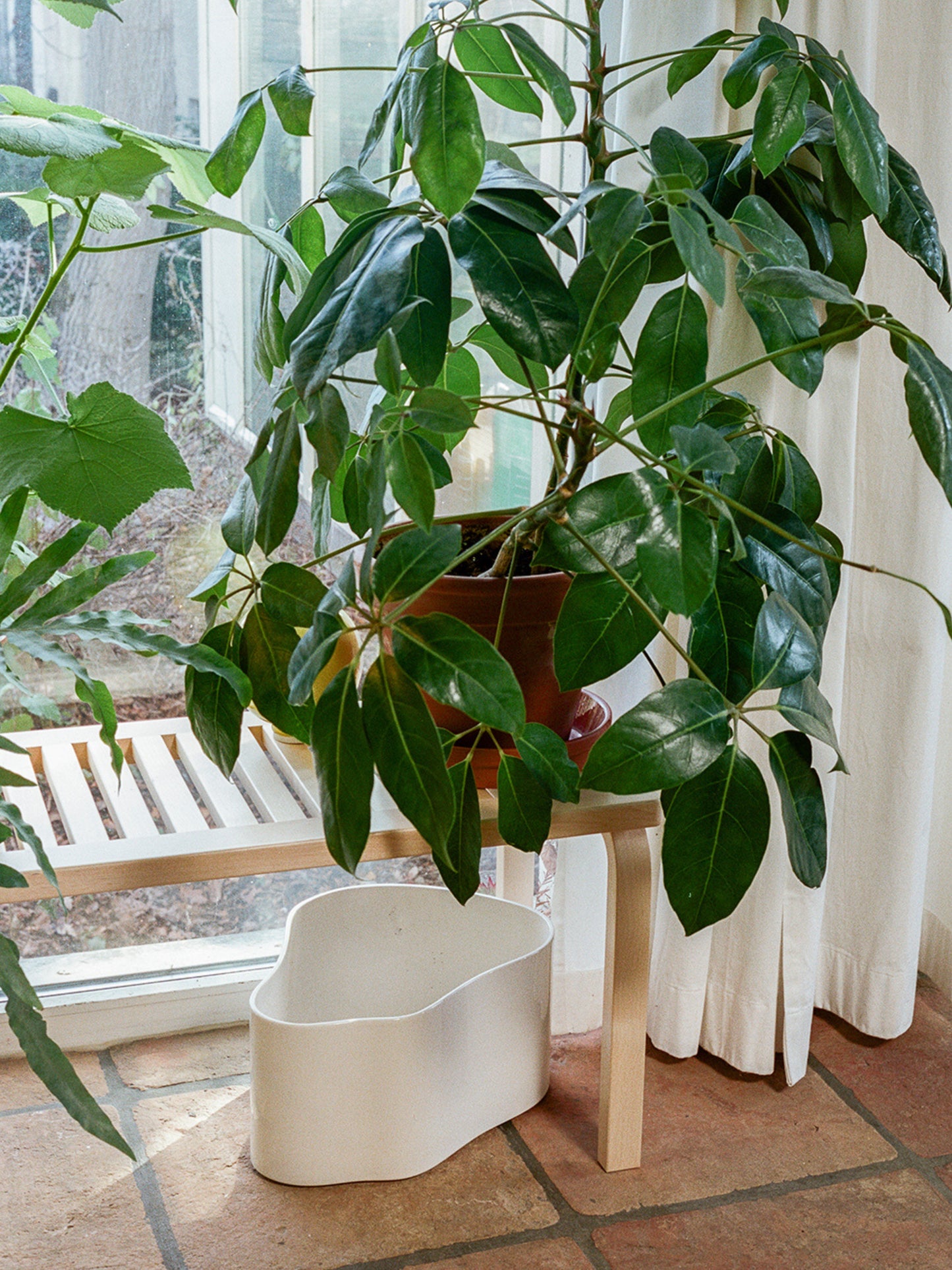 Riihitie Plant Pot - Shape A Large - White Glaze