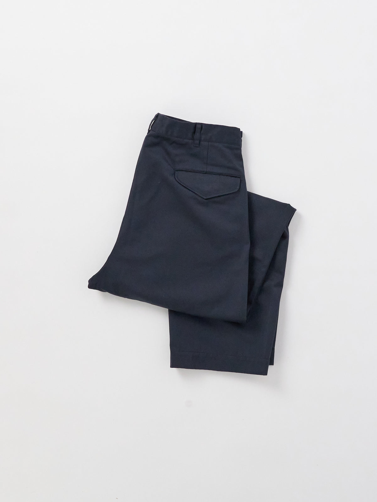 Double Pleated Chino Pants - Navy