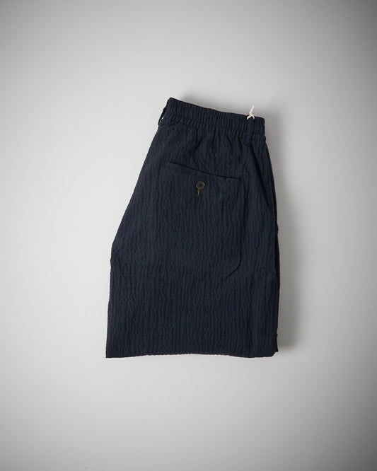 Oxford Pant in Dark Navy Ospina Cotton